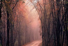 薪资爆表！纽约豪阵成型，5人整整7.4亿美元啊，能冲出东部吗？，纽约豪宅知乎