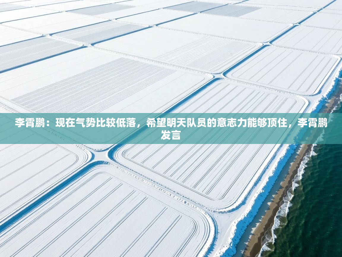 李霄鹏：现在气势比较低落，希望明天队员的意志力能够顶住，李霄鹏发言  第2张