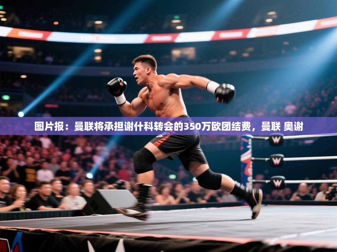 图片报:曼联将承担谢什科转会的350万欧团结费,曼联 奥谢 第2张