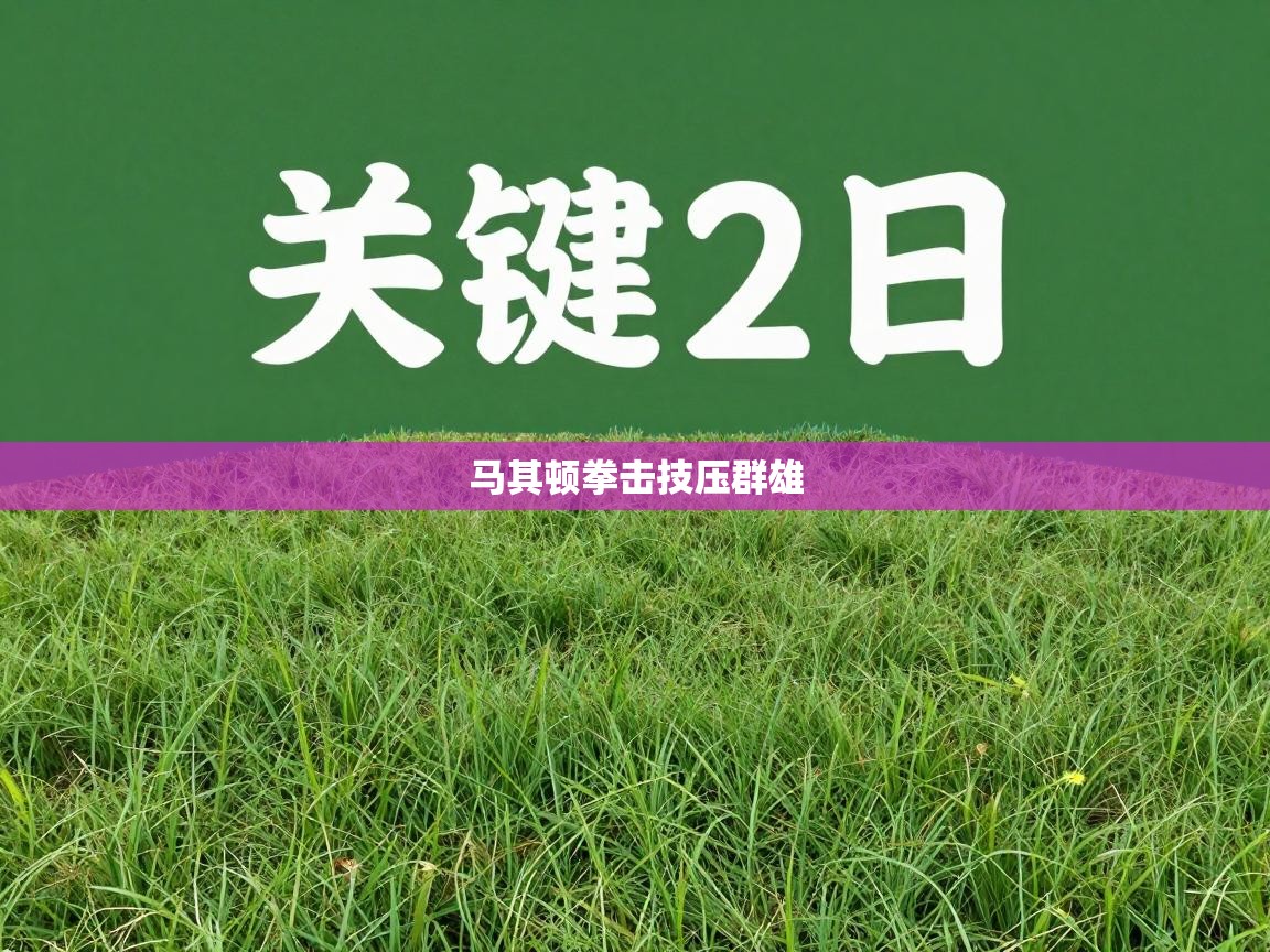 马其顿拳击技压群雄  第2张