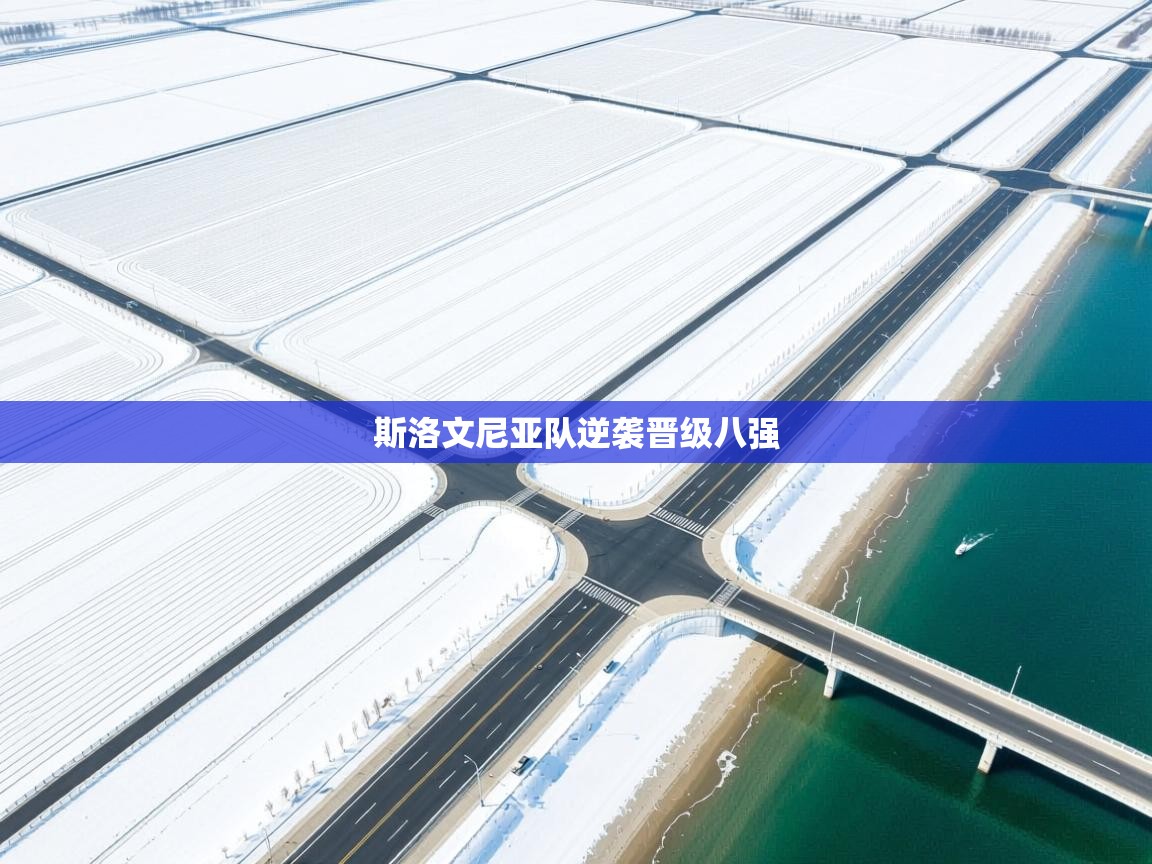 斯洛文尼亚队逆袭晋级八强  第1张